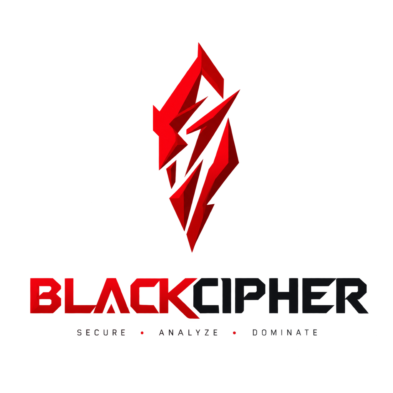 BlackCipher 로고
